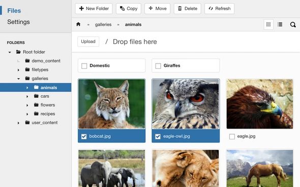 FILEman v5.0.1 - Joomla Advanced Media Manager