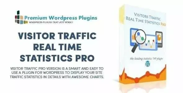 Visitor Traffic Real Time Statistics Pro v11.22